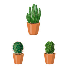 Vector design of cactus and pot symbol. Set of cactus and cacti stock symbol for web.