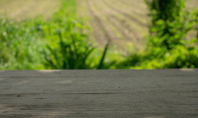 wooden table on blurred background of nature of forest and park