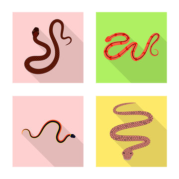 Vector illustration of skin and reptile logo. Set of skin and danger vector icon for stock.