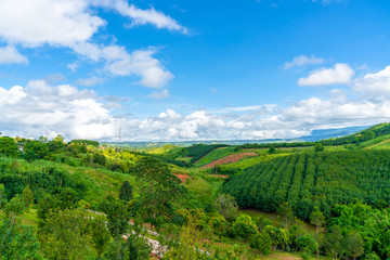 Blue sky high peak mountains fog hills mist scenery national park views at Phu Tub Berk, Khao Koh, Phetchabun Province, Thailand