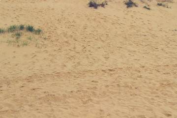 Sand close up, natural texture, background.