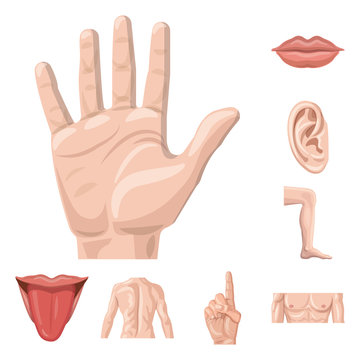 Vector illustration of human and part sign. Collection of human and woman stock symbol for web.