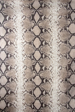 Snake skin pattern