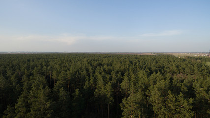 Fototapeta premium View from the height of the green forest and the road