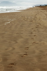 Walking on the beach on a cloudy day