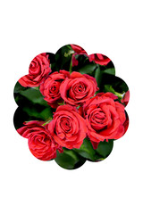 bouquet of red roses isolated on white background