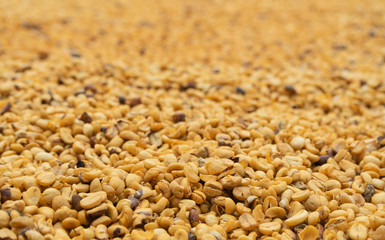 Elephant dung coffee.