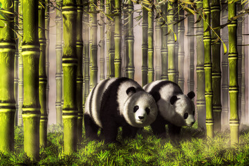 A pair of panda bears stand in a forest of thick bamboo stalks.  One of the pandas searches the ground among a thick carpet of green leaves, while the other looks right at the viewer. 3D Rendering © Daniel Eskridge