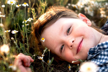 smiling cute  boy lying in a daisy field