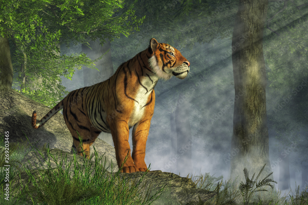 Fototapete a tiger stands on boulders in a jungle. sunlight breaks through the tree canopy and shines down on t