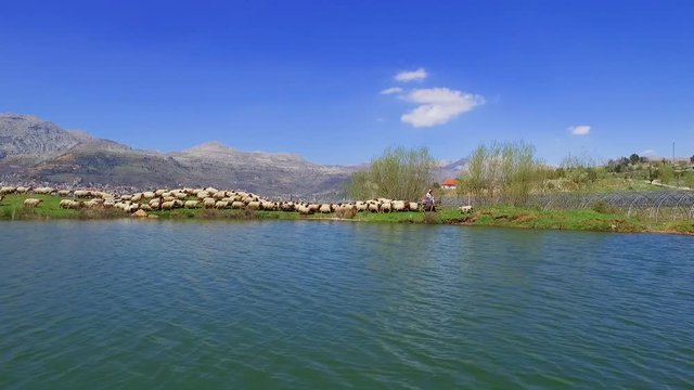 Drone shot of a shepherd watches his herd of sheep at Lassa in Mount Lebanon