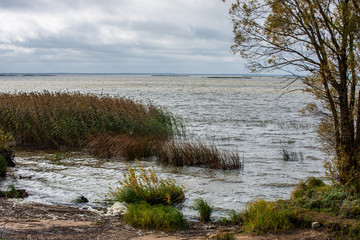 lake or sea beach in stormy weather