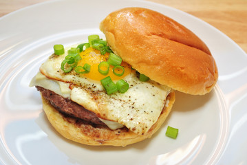 Fried Egg On Top of a Cheese Burger with Fresh Scallion 