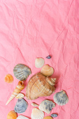 Fototapeta na wymiar Seashells on pink crumpled paper. Top view. Space for text
