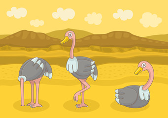 Three different Ostrich. Funny cartoon and vector illustration