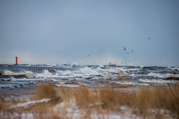 lake or sea beach in stormy weather