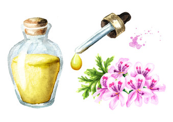 Pelargonium graveolens or Pelargonium x asperum, geranium flower and essential oil set. Watercolor hand drawn illustration, isolated on white background