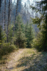 dirty gravel countryside gravel road in summer
