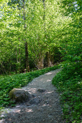 dirty gravel countryside gravel road in summer