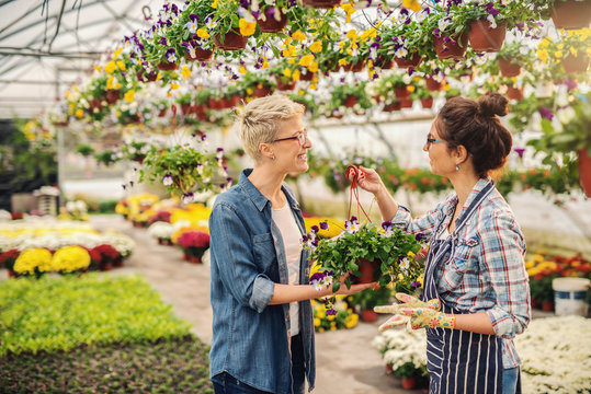 Smiling Caucasian florist selling flowers to a blonde woman. Greenhouse interior.