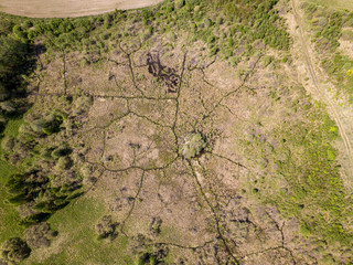 aerial view of countryside fields and forests in green summer day