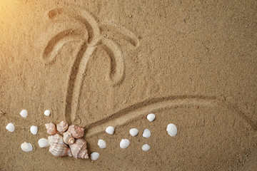 Fototapeta na wymiar Creative minimal beach concept. Sand palm and seashell on sand background. Summer vacation concept.Flat lay, top view, copy space.