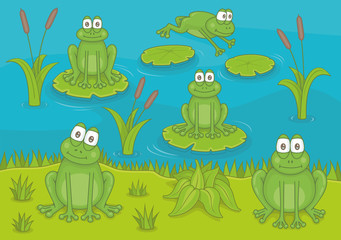 Frogs living in the pond. Funny cartoon and vector illustration