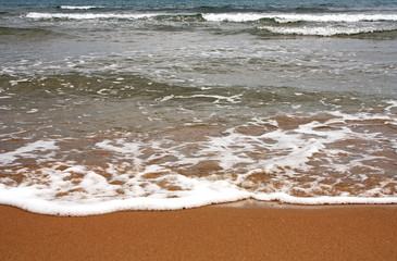 Shore of the Mediterranean Sea