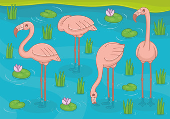 Group of Pink Flamingos standing in lake. Funny cartoon and vector illustration