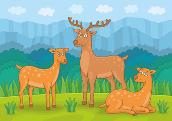 Deer family in meadow. Funny cartoon and vector illustration