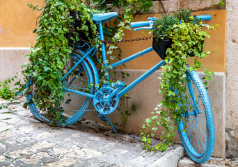 Fototapeta na wymiar Blaues Fahrrad an einer Efeu-Hauswand