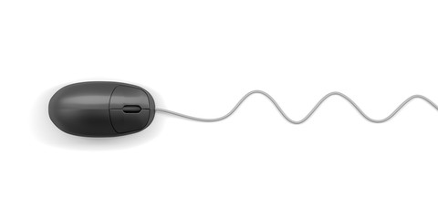 typical computer mouse