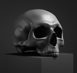 Human skull Isolated on black, 3D illustration.  