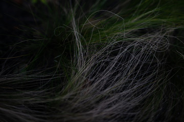 Long green grass like hair
