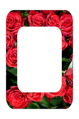 Obraz premium frame of red roses isolated on white background