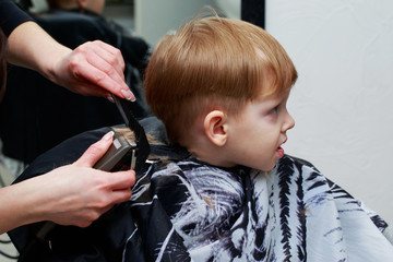 The little boy in the barber shop