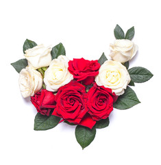 Red and white roses on white background