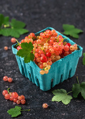 Fresh rosa and white currant berries in a turquoise  paper box on the dark rustic background. Top view. Copy spase. 