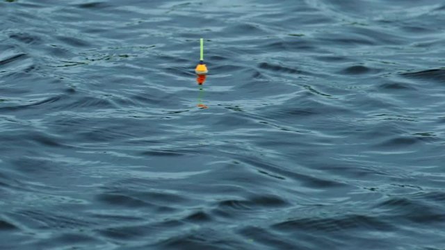 The fishing float is swinging the water waves