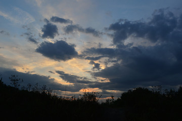 Beautiful sunset sky with dark clouds. Silhouettes of herbs on foreground.