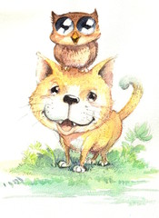 cat and owl