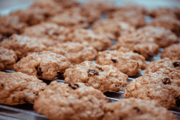 Oatmeal cookies and dried raisins.