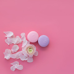 macaroni and white flower on pink square background