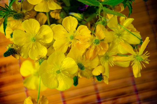Yellow flower on the tabble