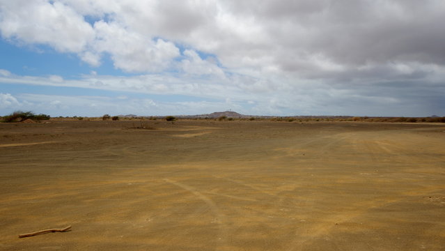 Desert and Espargos on Sal Island