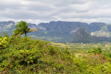 Obraz premium La Habana