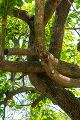 places to visit in forests and gardens