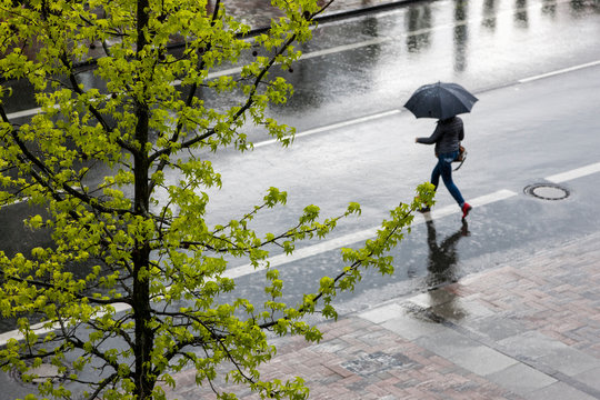 Bottrop Pferdemarkt - Fr&uuml;hjahrsregen
