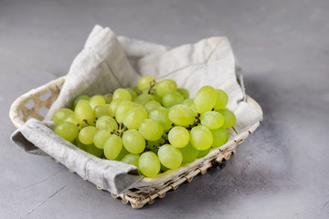 Branch of Green Grapes in Basket on Grey Background Tasty Summer Fruits Horizontal Copy Space