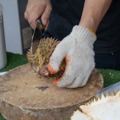 Man Peeling durian with glove for buyer.